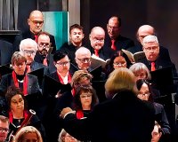 DSC07375 bearbeitet 1